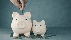 ilustra�ní snímek