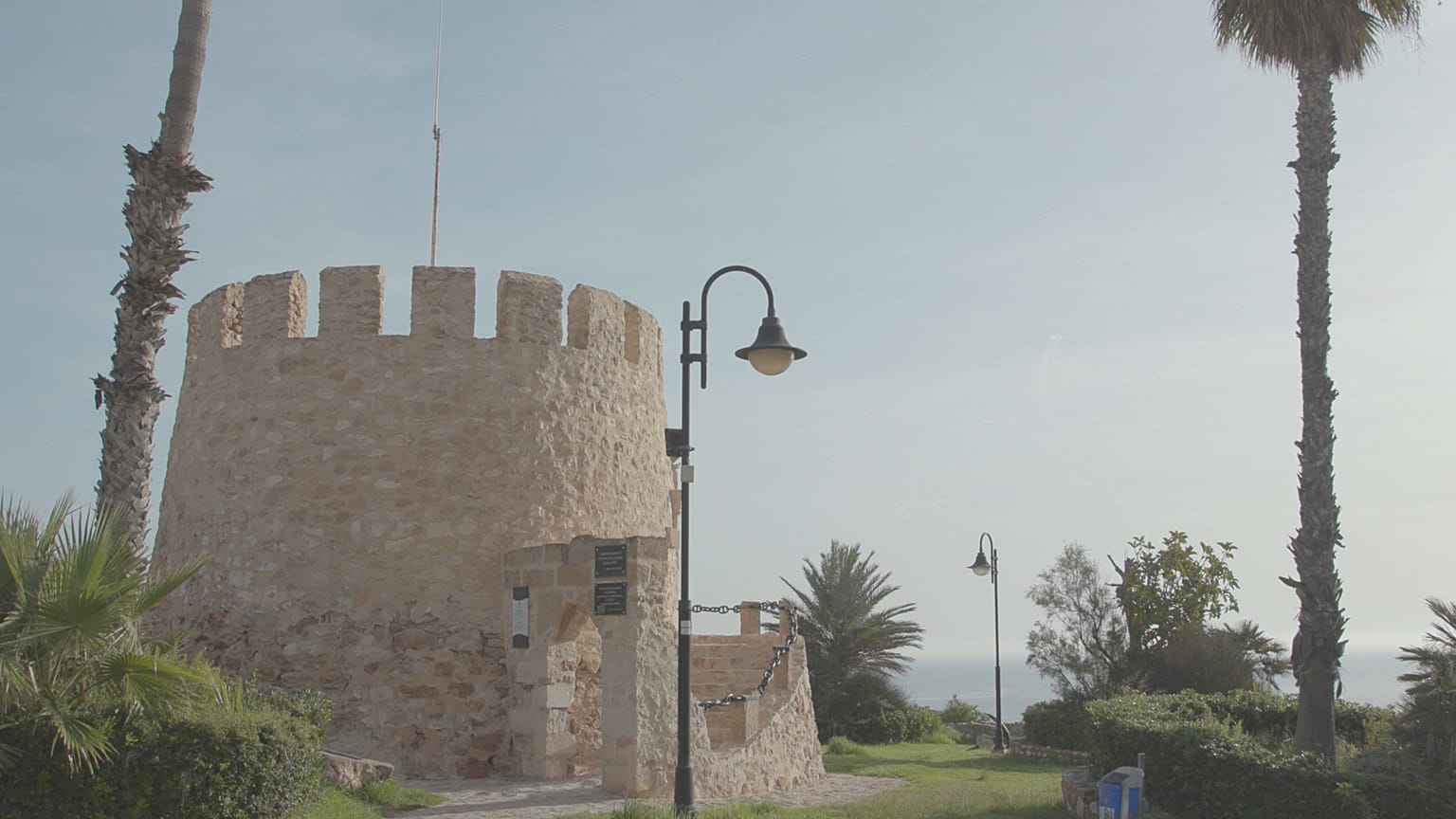 برج توريفايجا