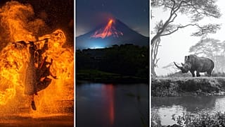 جوائز سوني العالمية للتصوير الفوتوغرافي تعلن عن الفائزين المحليين والإقليميين 