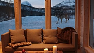 في أنحاء أوروبا يمكن للمسافرين الاقتراب من الطبيعة والحيوانات، بل وحتى قضاء ليلة بالقرب من الذئاب