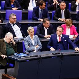 AfD-Abgeordnete sitzen im Bundestag.
