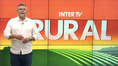 Inter TV Rural deste domingo, 17 de maio de 2026 - Confira os destaques do programa.