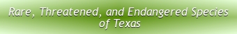 Rare, Threatened, and Endangered Species of Texas