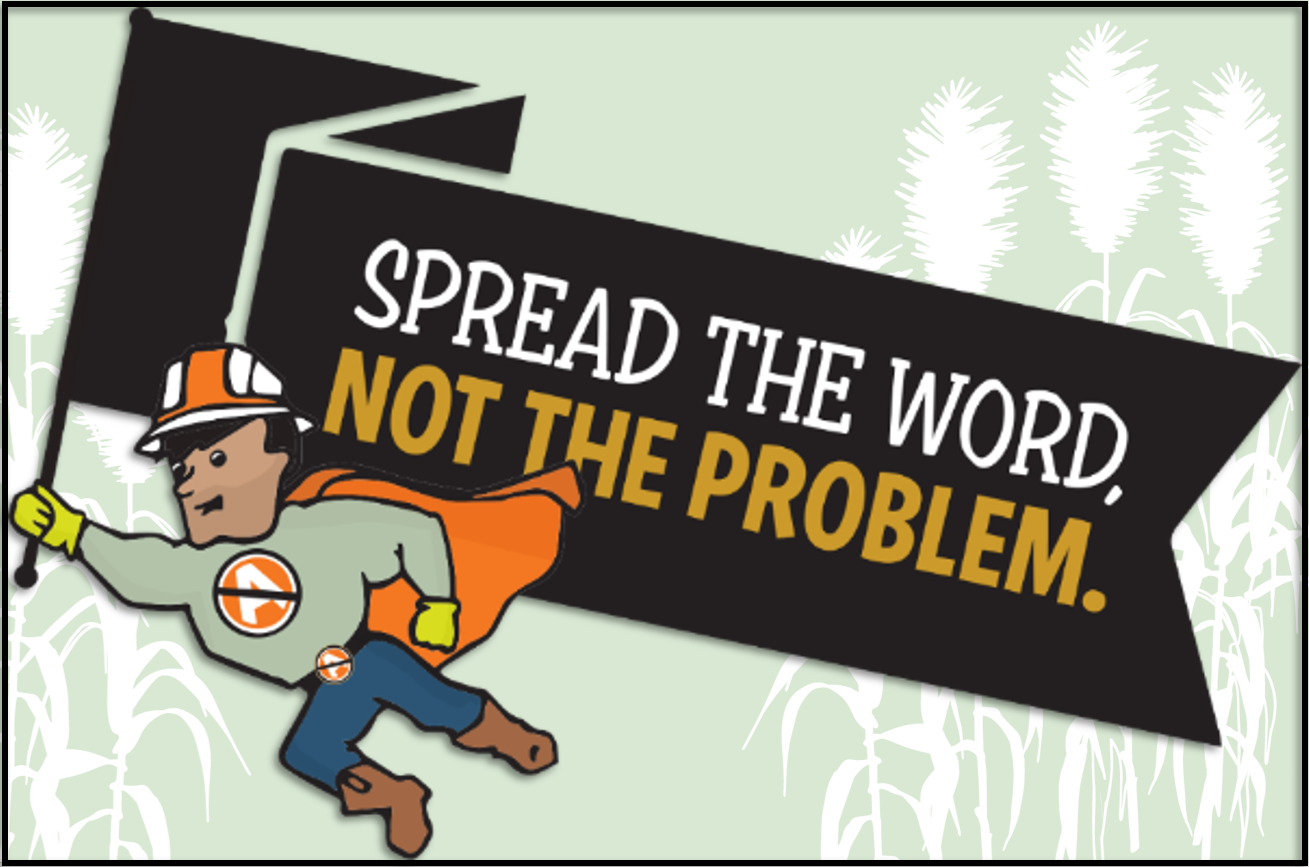 Arundo Control Man superhero promotes spreading the word, not the problem.