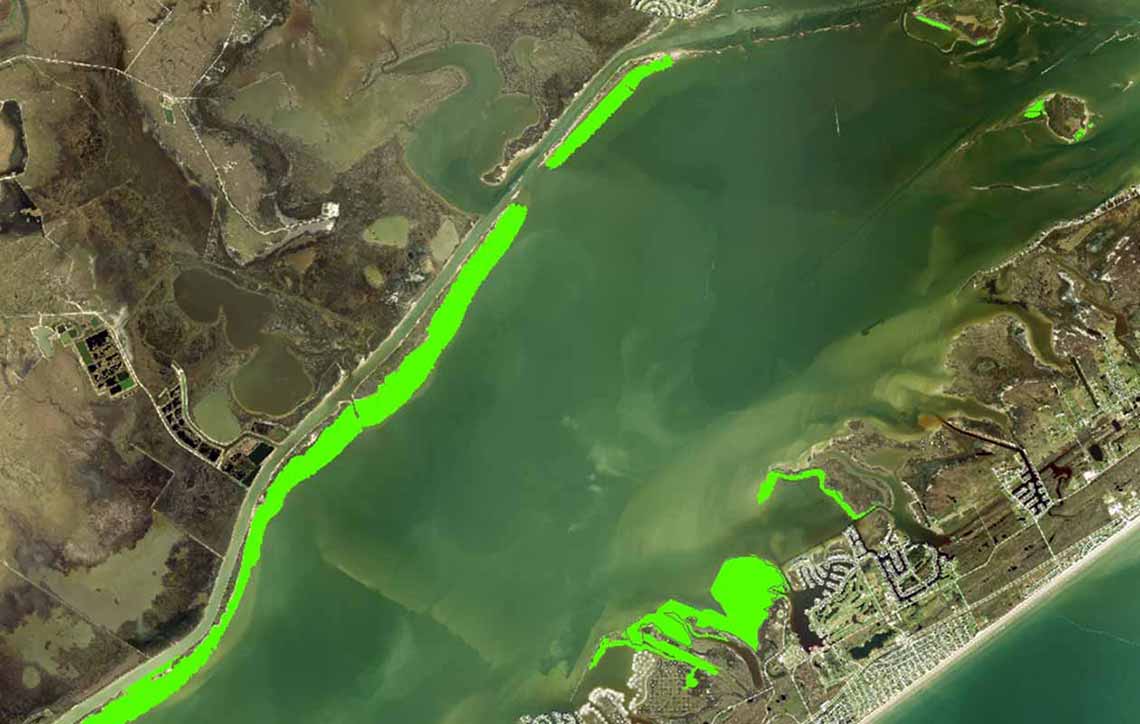 West Galveston Bay Seagrass 2015