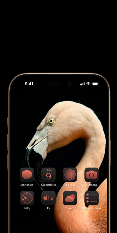 Un iPhone 16 que muestra la foto dinámica de un flamenco rosa de perfil y widgets en un color a juego.