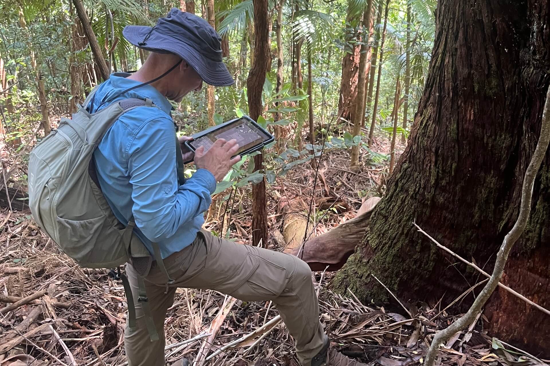 A man stands at the base of a tree within a forest entering information into a tablet