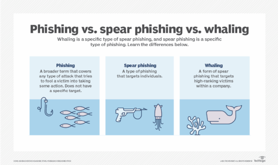 Descriptions of phishing, spear phishing and whaling attacks