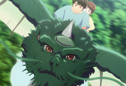 Dragon Heart c HS Pictures Studios