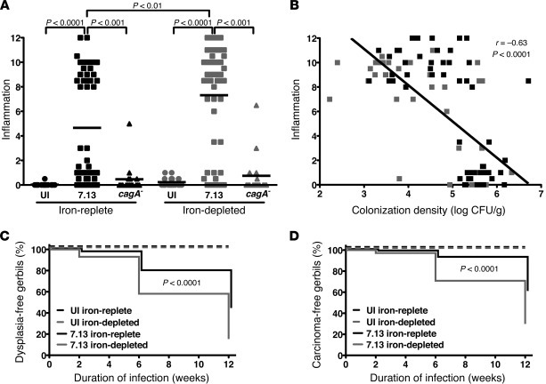 Iron depletion augments and accelerates H. pylori–induced gastric inflam...