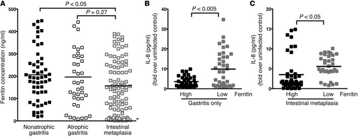 Iron levels are inversely related to the severity of H. pylori–induced p...