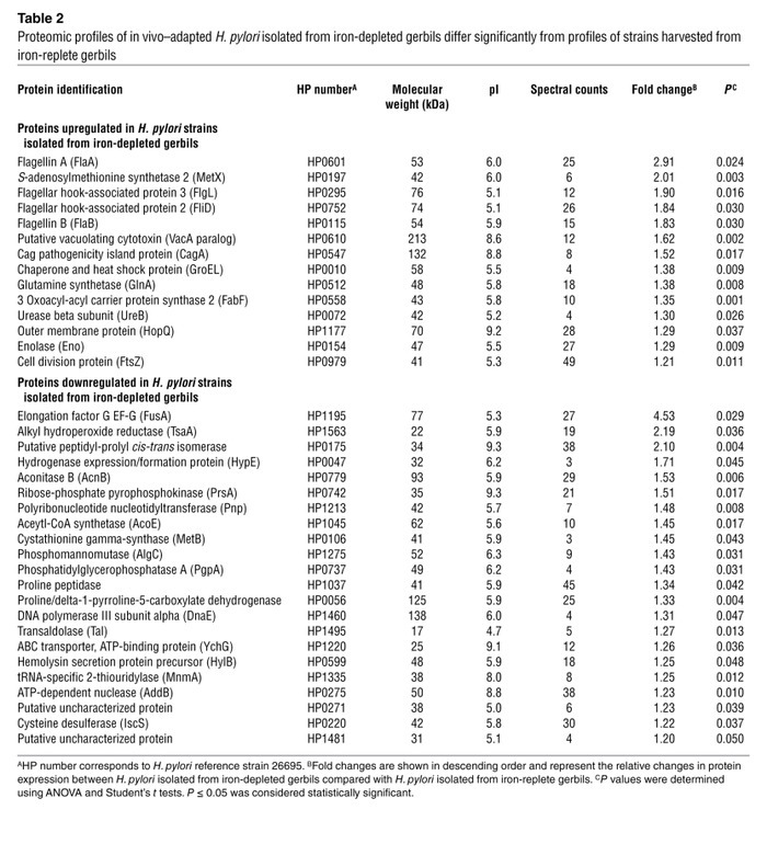 Frequency and severity of gastric lesions in H. pylori–infected patients...