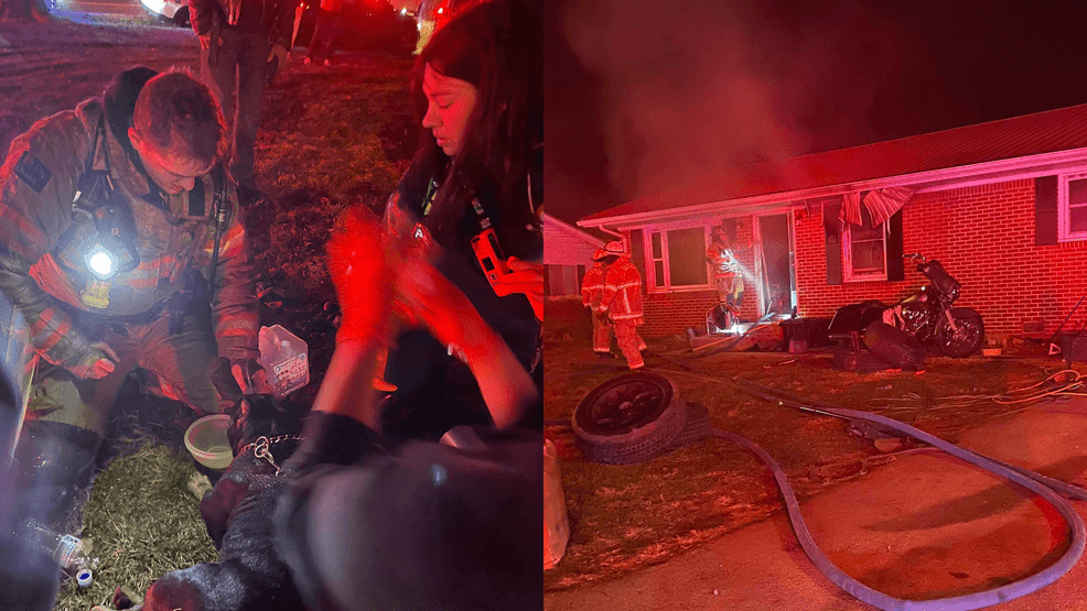 Image for gallery: Crews rescue dog from Putnam County house fire