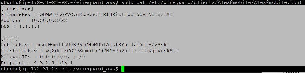 Copying text with configuration
