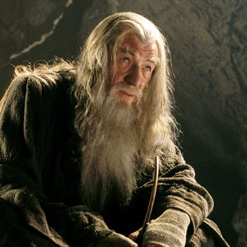 Ian McKellen as Gandalf, Elijah Wood as Frodo, Lord of the Rings: The Fellowship of the Ring ian mckellen as gandalf, elijah wood as frodo, lord of the rings the fellowship of the ring
