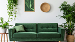 6 Ways to Accessorise Your Home With Plants 6 Ways to Accessorise Your Home With Plants
