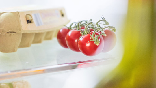 Wer Tomaten im Kühlschrank lagert, sollte eine Regel beachten Rote Kirschtomaten an einem grünen Stiel, liegend auf einer Glasfläche neben einem Eierkarton aus Pappe.