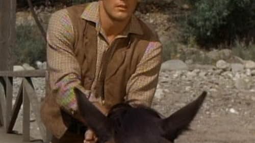 Lee Majors in The Big Valley (1965)