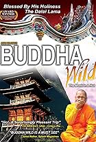 Buddha Wild: Monk in a Hut (2006)