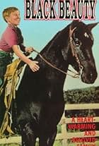 Courage of Black Beauty (1957)