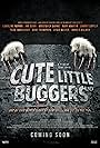 Cute Little Buggers (2017)