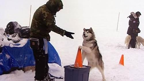 Eight Below