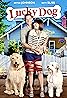 Lucky Dog (2015) Poster