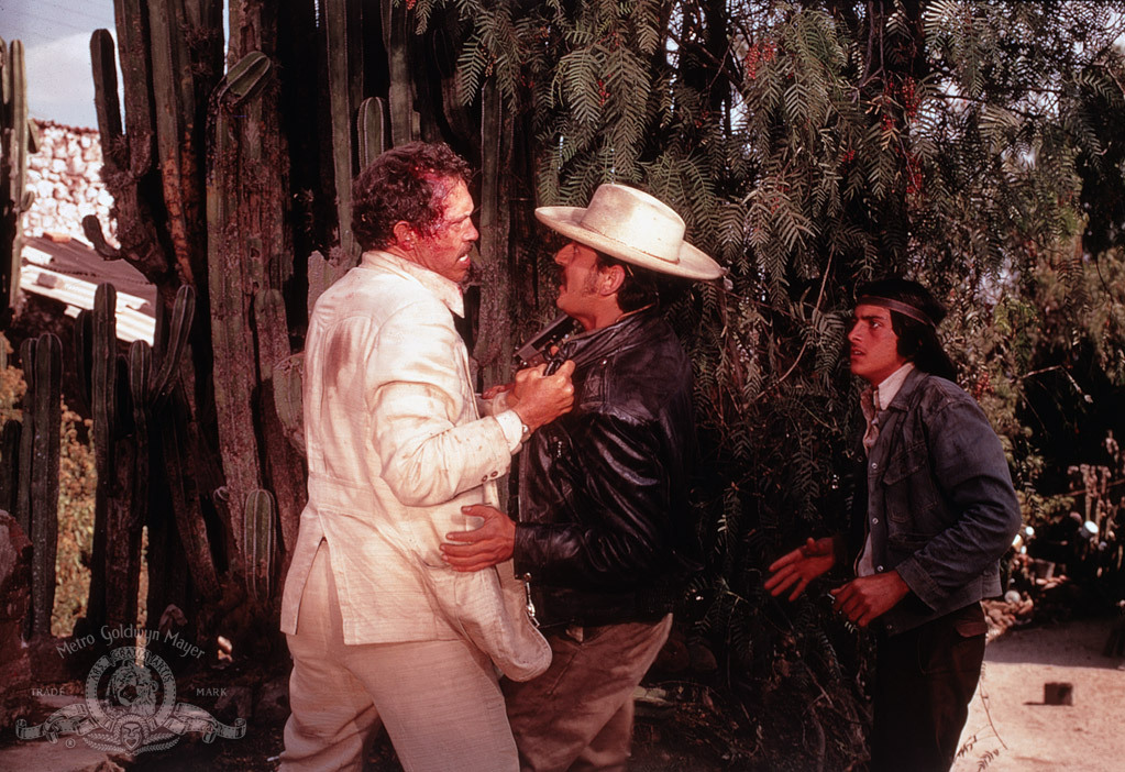 René Dupeyrón and Warren Oates in Bring Me the Head of Alfredo Garcia (1974)