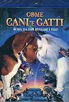 Come cani & gatti