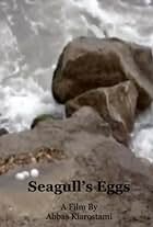 Seagull Eggs