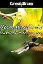 Hummingbirds: Jewelled Messengers (2012)