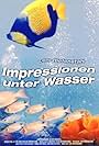 Impressionen unter Wasser (2002)