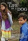 The Life of a Dog (2013)