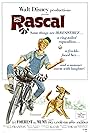 Rascal (1969)