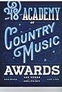 48th Annual Academy of Country Music Awards (2013)