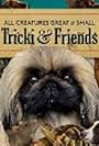 Derek in All Creatures Great & Small: Tricki & Friends (2024)