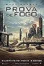 Maze Runner: Prova de Fogo (2015)