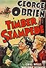 Timber Stampede (1939) Poster