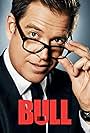 Bull (2016)