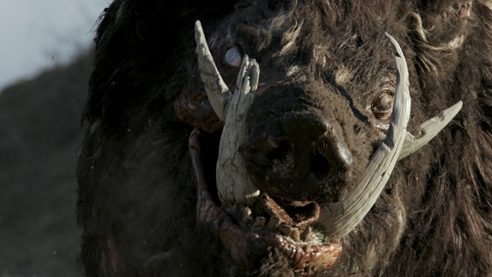 Boar (2017)