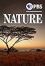 Nature (1982)