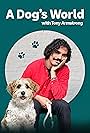 Tony Armstrong in A Dog's World with Tony Armstrong (2022)