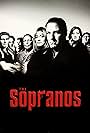 Lorraine Bracco, James Gandolfini, Edie Falco, Steven Van Zandt, Dominic Chianese, Robert Iler, Michael Imperioli, and Tony Sirico in Les Soprano (1999)