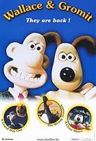 Wallace & Gromit: The Best of Aardman Animations