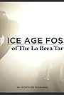 Ice Age Fossils of the La Brea Tar Pits (2004)