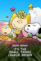 Snoopy Presents: It's the Small Things, Charlie Brown