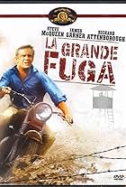 La grande fuga