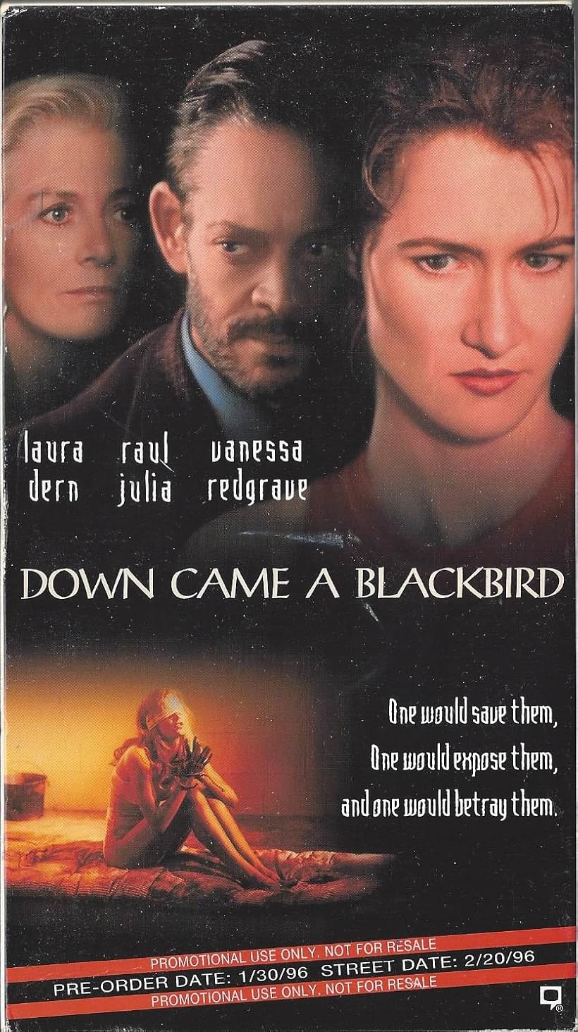 Down Came a Blackbird (1995)