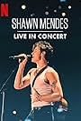 Shawn Mendes: Live in Concert (2020)