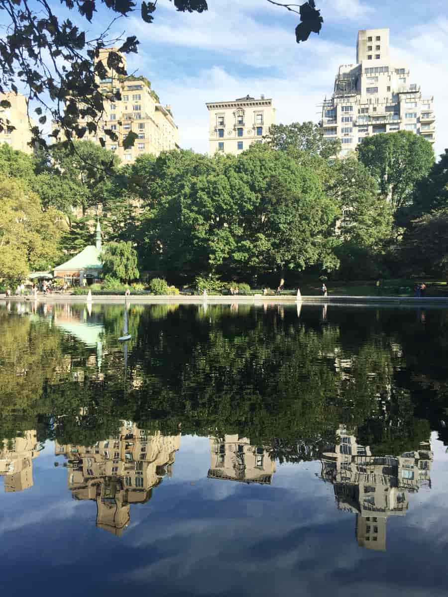 Central Park Model Boat Sailing